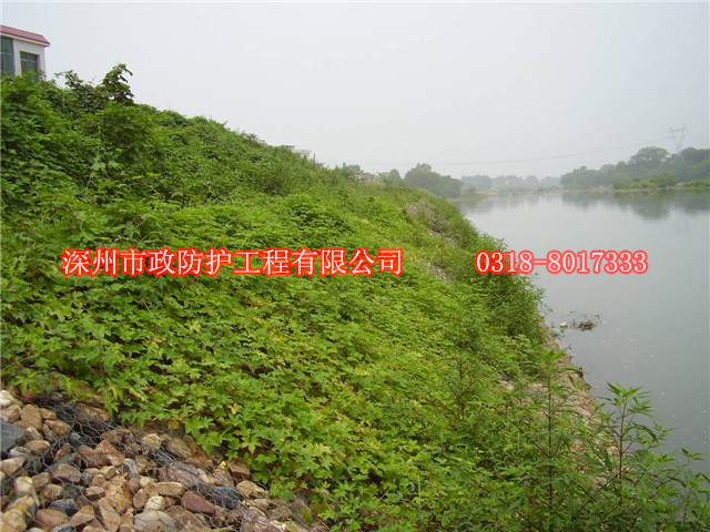 黃山河堤雷諾護(hù)墊