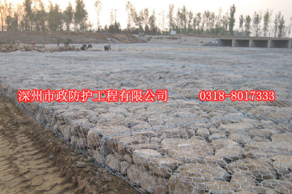 阜陽高爾凡雷諾護墊