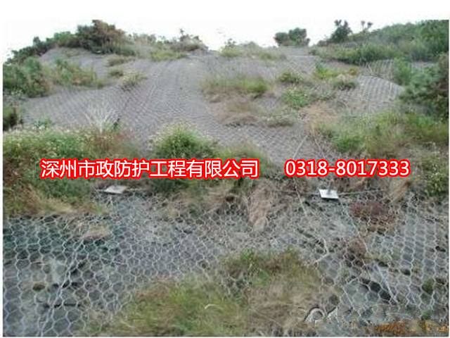 六角護(hù)坡網(wǎng)