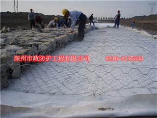 商洛格賓護墊